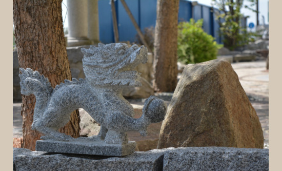 Chin. Drache