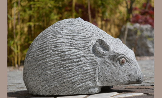 Igel