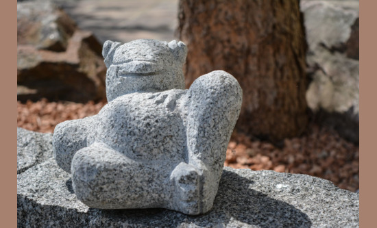 Frosch