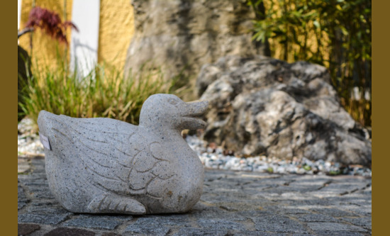 Ente