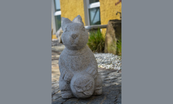 Hase