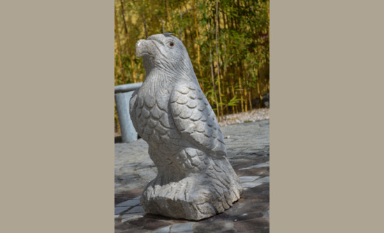 Adler