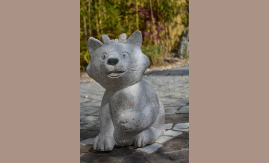 Katze