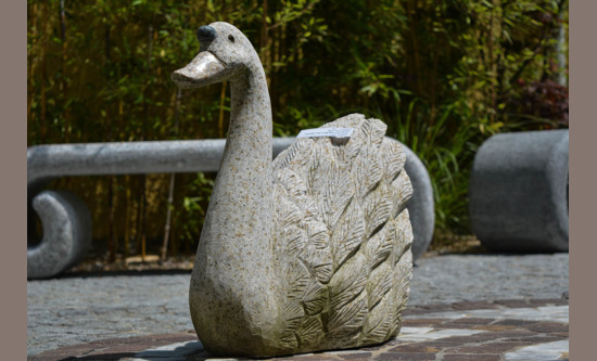 Schwan