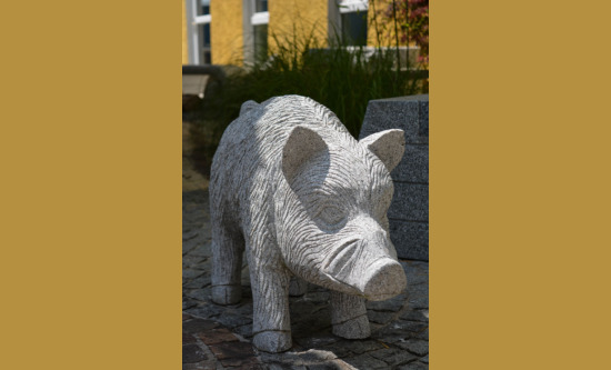 Wildschwein