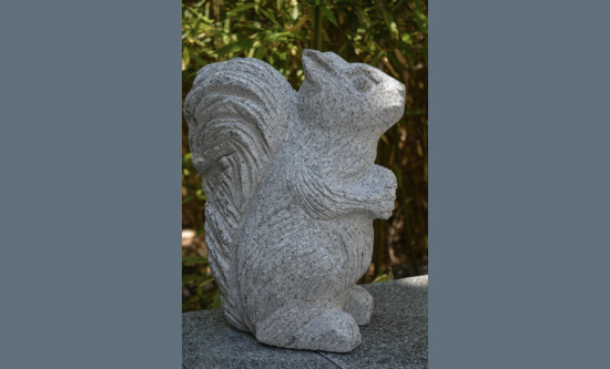 Eichhörnchen