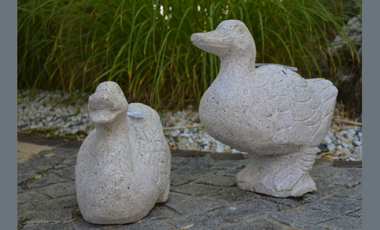 Enten