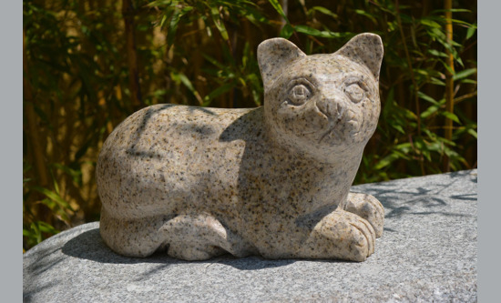Katze