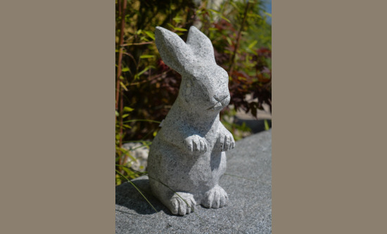 Hase