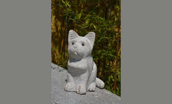 Katze