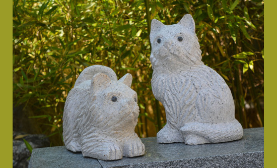 Katzen