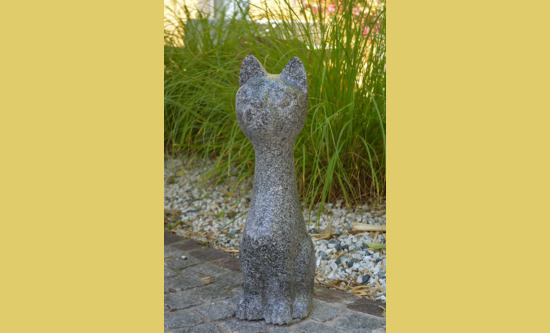 Katzen