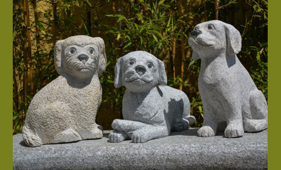 Hunde