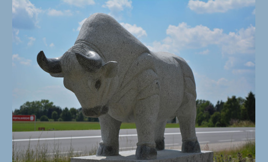 Stier