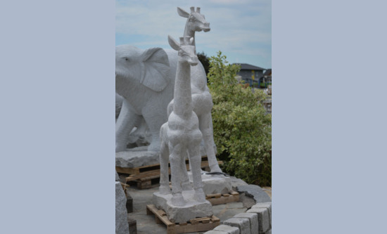Giraffe