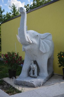 Elefant