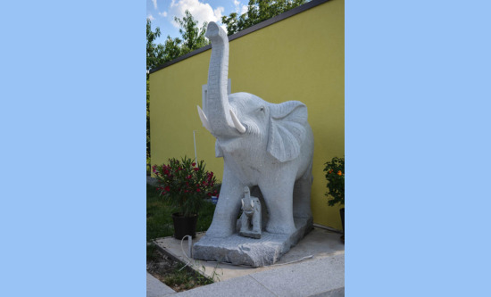 Elefant